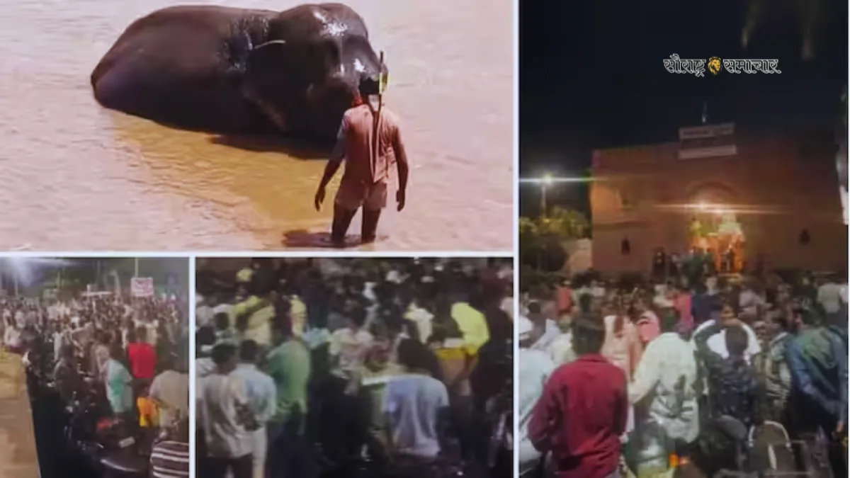 Controversy over elephants in Nandini Math
