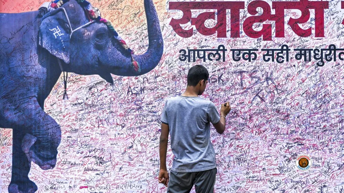 Madhuri Elephant
