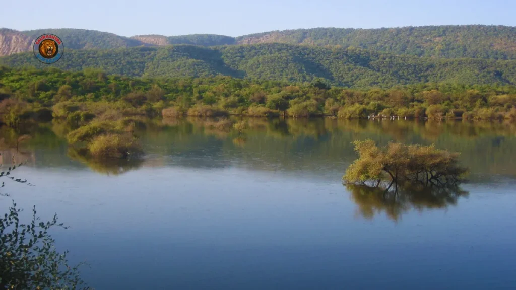 Aravali Safari Park Project