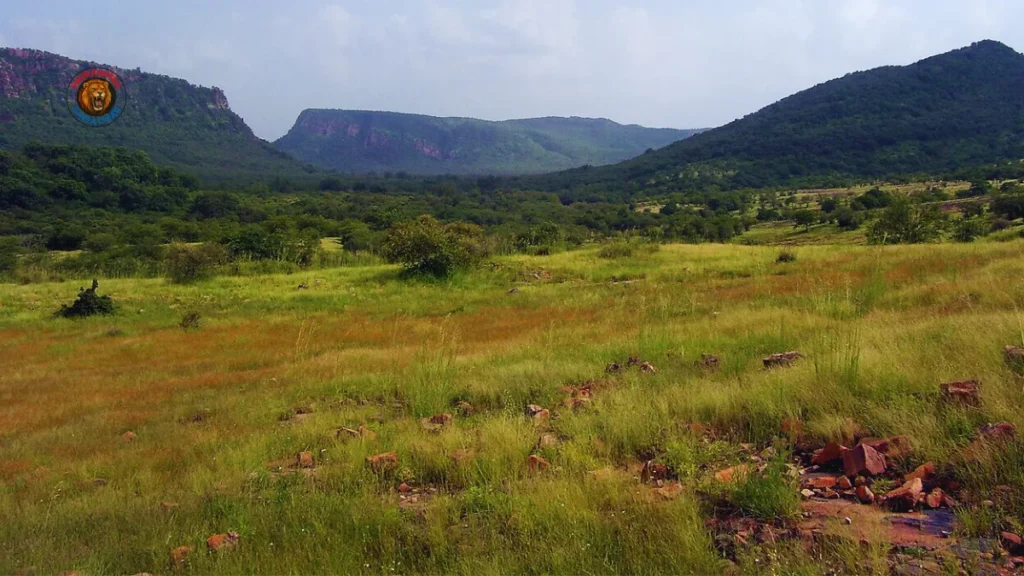 Aravali Safari Park Project