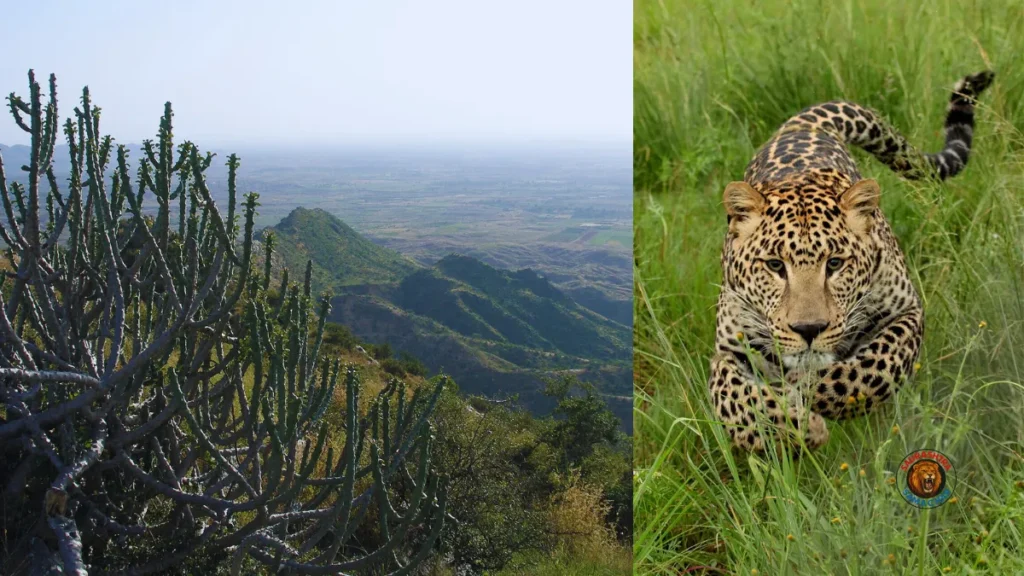 Aravali Safari Park Project