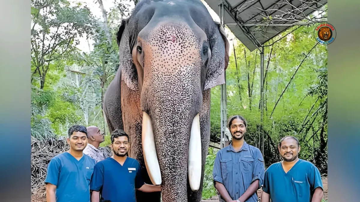 Vantara Animal Rescue Team