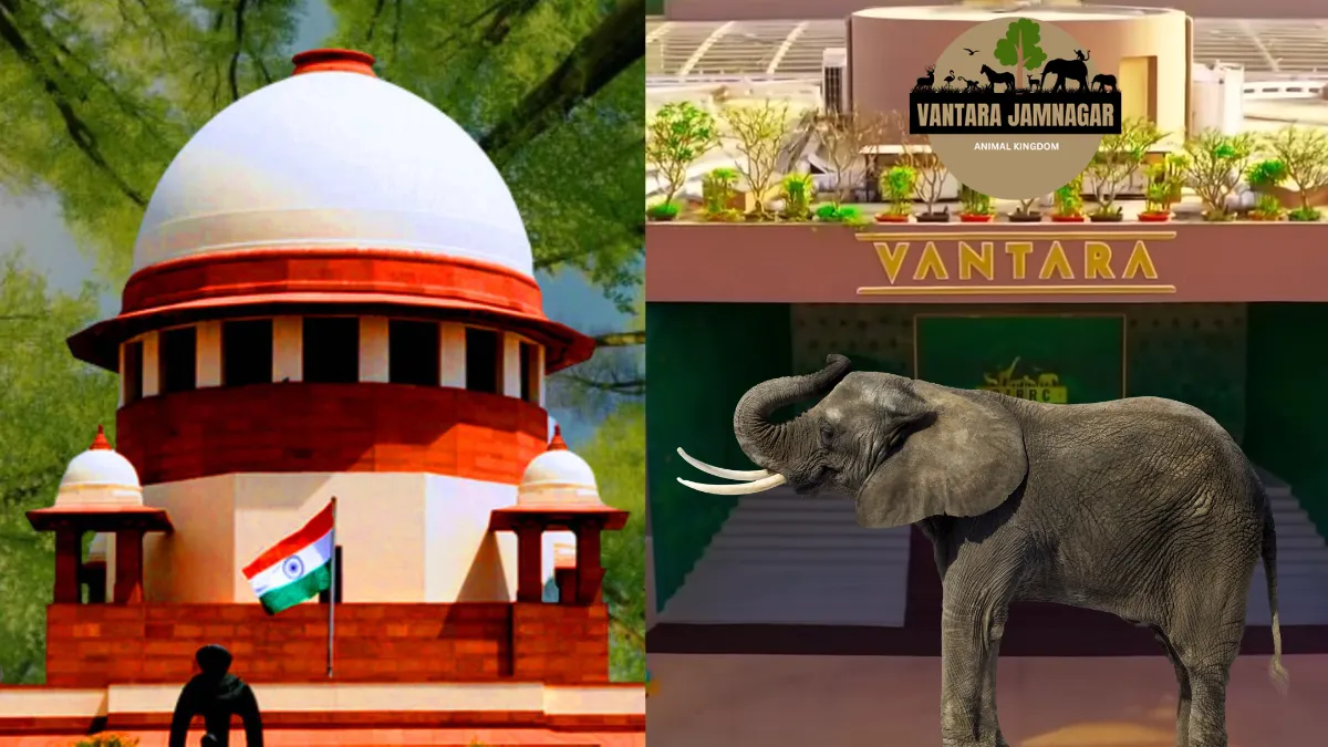Top court sets up special team to probe affairs of Vantara