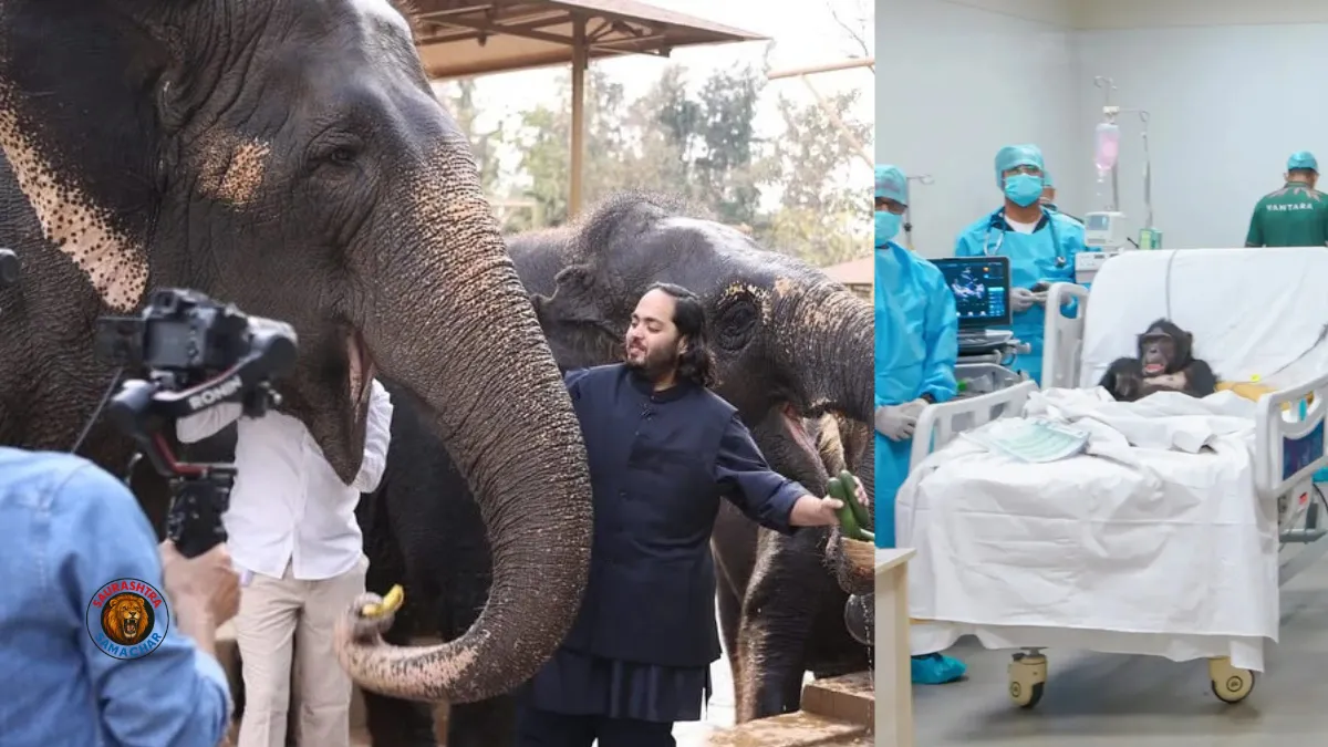 Vantara Zoo Jamnagar