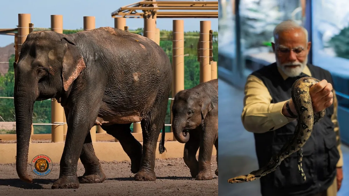 Future of Vantara Zoo Gujarat