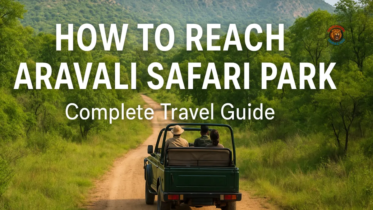 How to Reach Aravali Safari Park