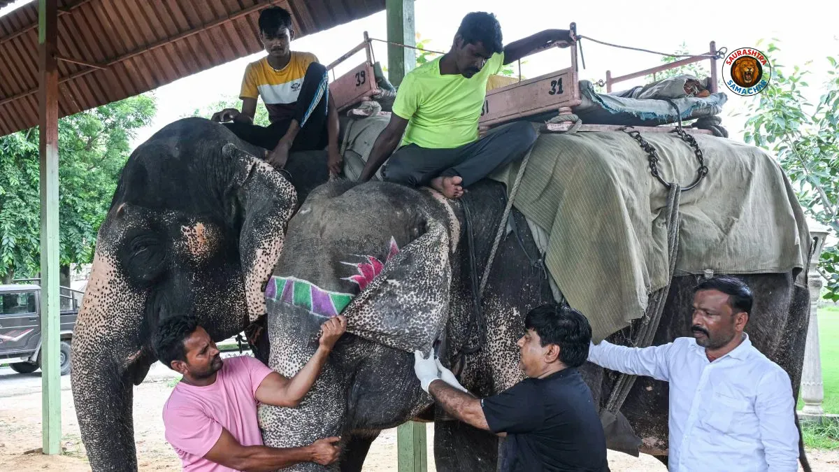 Vantara Madhuri Elephant