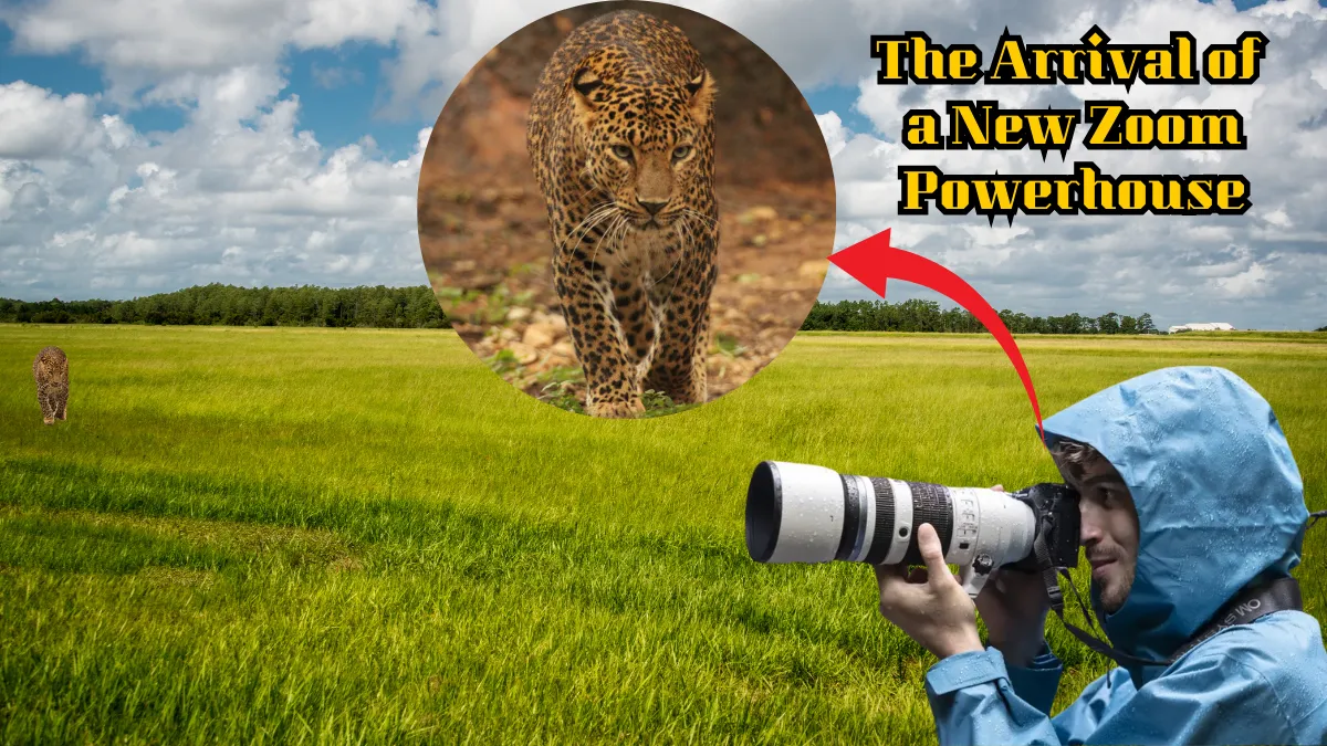 Zuiko Digital ED 50-200mm f/2.8 IS PRO Review