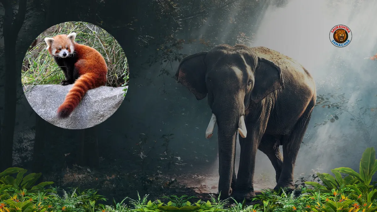 Vantara india