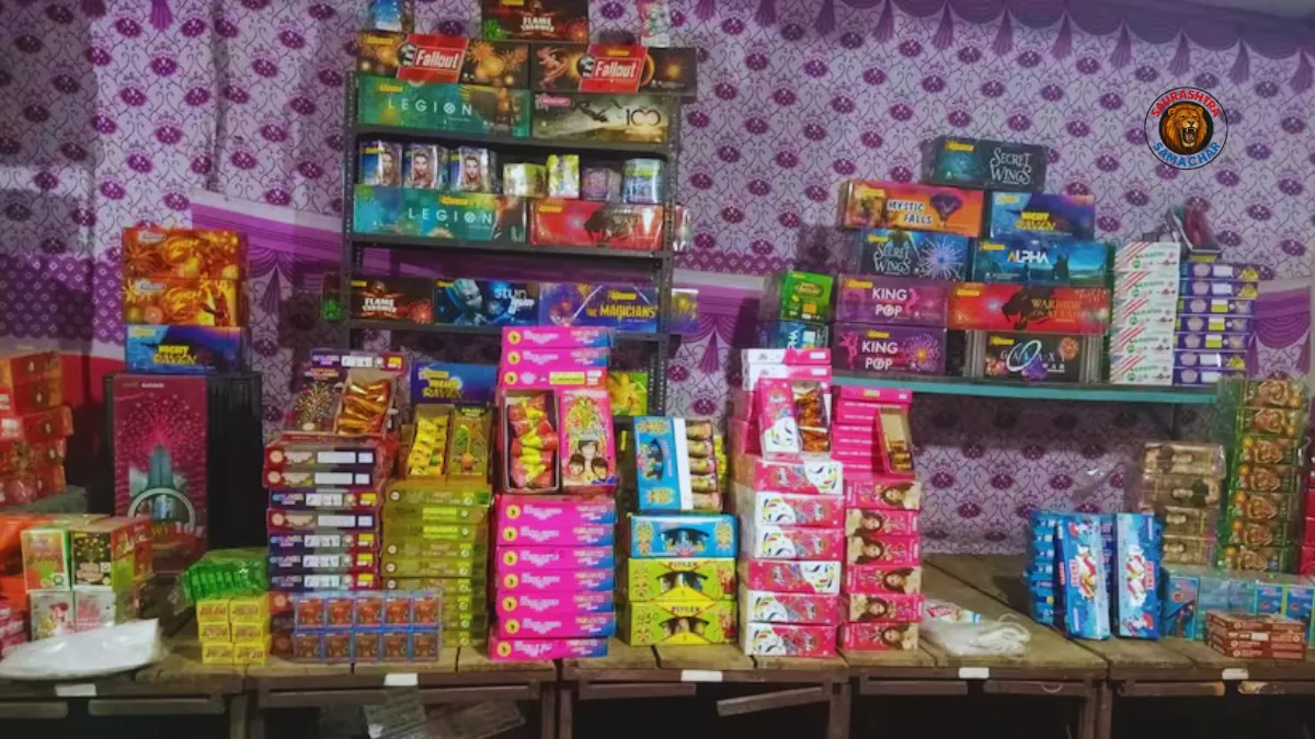 Want to Do Firecracker Business in Diwali